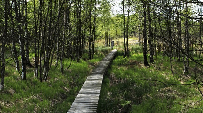 Nature reserves in Belgium